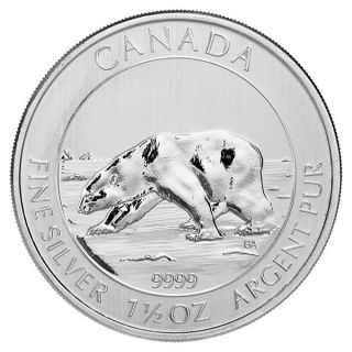 2013 Canadian Silver $8 Polar Bear 1.  5 Ounces photo