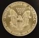 1987 - 1 Oz Silver American Eagle Coin - Brilliant Uncirculated Silver photo 1