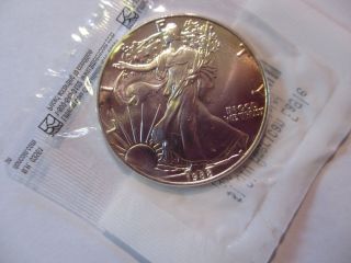 1988 American Silver Eagle Coin (1 Oz, .  999 Fine Silver) Uncirculated photo