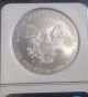 2008 - W American Silver Eagle Ngc Ms 69 Early Releases Silver photo 1