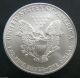 2004 Sae Silver American Eagle 1 Oz Coin Unc Silver photo 1