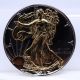 2010 American Silver Eagle Gold Color Enhancement Proof 01195410z Silver photo 4