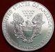 Uncirculated 2009 American Eagle Dollar Silver photo 1