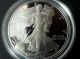 2004 Us 1 Oz Silver Eagle Proof Coin No Silver photo 1