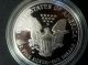 2004 Us 1 Oz Silver Eagle Proof Coin No Silver photo 3