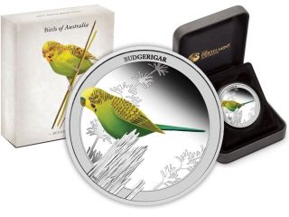 2013 Buderigar 1/2 Oz.  Birds Of Australia.  999 Silver 50 Cent Coin photo