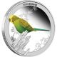 2013 Buderigar 1/2 Oz.  Birds Of Australia.  999 Silver 50 Cent Coin Silver photo 1