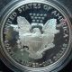 1995 - P Proof American Eagle 1 Ounce Silver Dollar Coin Silver photo 1