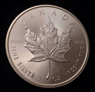 2014 Canada Maple Leaf 1 Oz 999 Silver Coin -.  99 Start/nr/3 Day photo