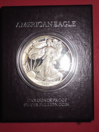 1991 S 1 Oz.  American Silver Eagle Proof / Packaging & 002 photo