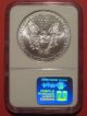 1994 1 Oz.  American Silver Eagle Ms69 Ngc Graded (1994 015) Silver photo 1