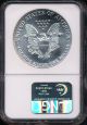 1988 Silver American Eagle Coin Ngc Ms 69 Aeg1650 Silver photo 1