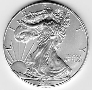 2014 1oz Silver American Eagle Uncirculated Coin photo