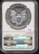 1989 American Silver Eagle Ngc Ms69 8472 Silver photo 1