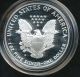 1990 S American Silver Eagle Proof Coin 9389 Silver photo 1