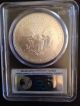 First Strike 2013 Silver Eagle Pcgs Ms 70 Silver photo 2