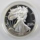 2003 - W 1 Oz.  Fine Silver American Eagle Silver Dollar Proof And Silver photo 1