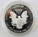 2003 - W 1 Oz.  Fine Silver American Eagle Silver Dollar Proof And Silver photo 2