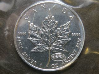 1999 - 2000 1 Oz Silver Maple Leaf Fireworks Privy Dual Date $5 Canada Coin photo