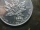 1999 - 2000 1 Oz Silver Maple Leaf Fireworks Privy Dual Date $5 Canada Coin Silver photo 2