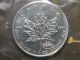 1999 - 2000 1 Oz Silver Maple Leaf Fireworks Privy Dual Date $5 Canada Coin Silver photo 3