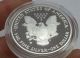 2005 - W $1 American Silver Eagle Proof Coin In Capsule Silver photo 3