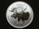 2012 1 Oz Canadian Wildlife Moose Silver Maple Leaf Coin $5 Canada Silver photo 1
