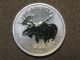 2012 1 Oz Canadian Wildlife Moose Silver Maple Leaf Coin $5 Canada Silver photo 2