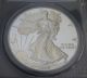 1999 - P American Silver Eagle Pr 69 Dcam S$1 Proof Coin - Pcgs Certified Silver photo 2