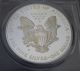 1999 - P American Silver Eagle Pr 69 Dcam S$1 Proof Coin - Pcgs Certified Silver photo 5