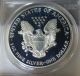 1999 - P American Silver Eagle Pr 69 Dcam S$1 Proof Coin - Pcgs Certified Silver photo 7