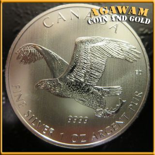 2014 Canadian Wildlife Series - Eagle - 1 Troy Ounce.  9999 Fine Silver photo