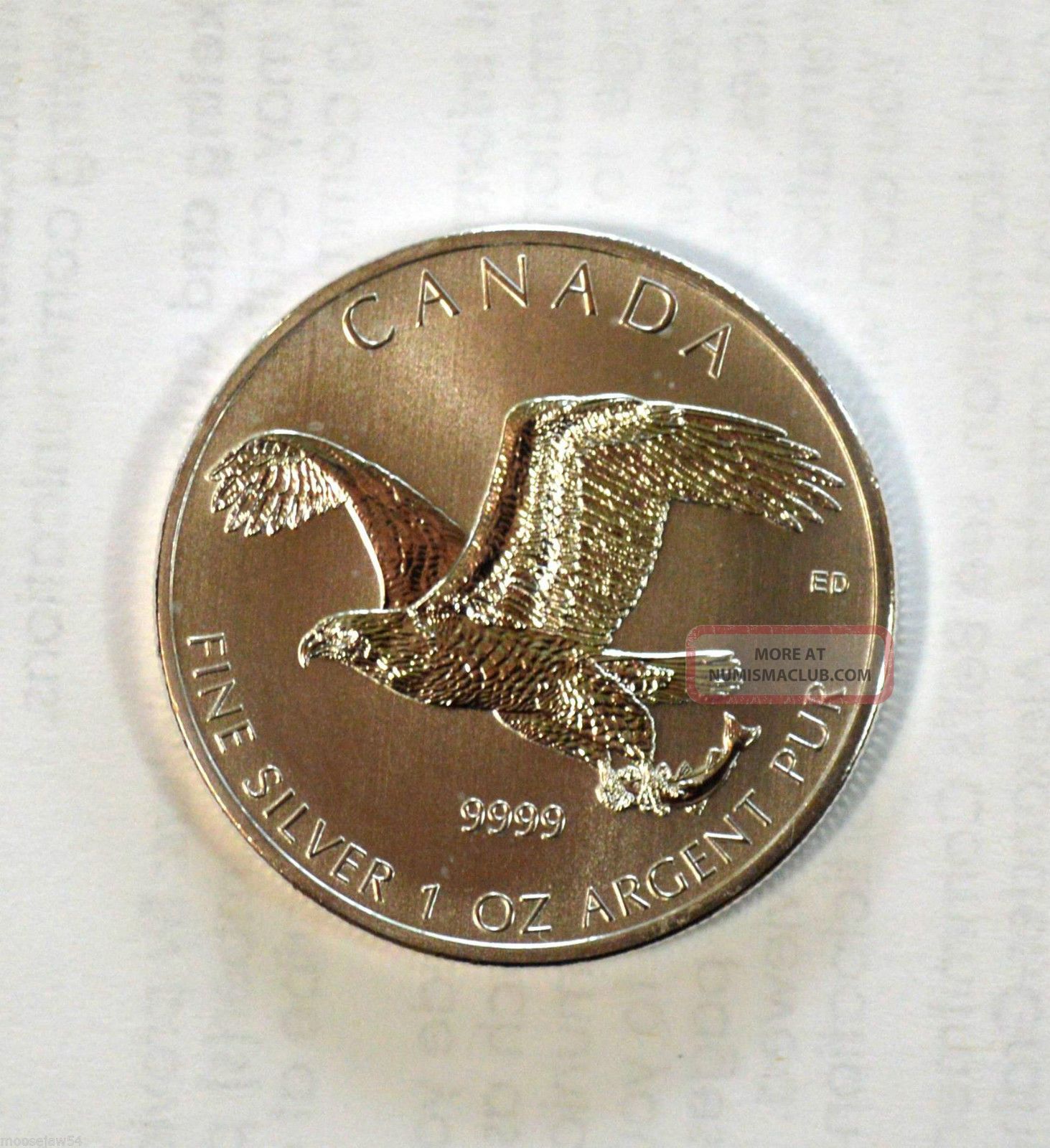 Pure Silver (1 Oz -.  9999 Pure) 2014 - Bald Eagle - Royal Canadian Coins: Canada photo