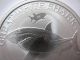 2014 1/2 Ounce Silver Australian Great White Shark Perth Coin,  Gold Silver photo 1