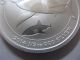 2014 1/2 Ounce Silver Australian Great White Shark Perth Coin,  Gold Silver photo 2