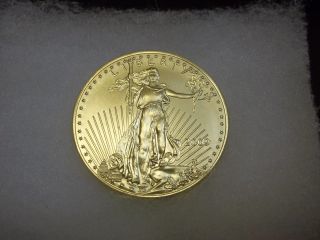 2009 1 Oz Gold American Eagle Coin - Brilliant Uncirculated photo