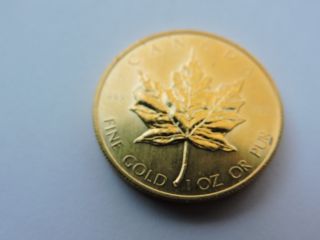 1982 $50 1 Ounce Gold Maple Leaf.  9999 Fine Bu Coin 1 Oz Gold Ounce Canadian photo