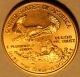 1995 1/10 Troy Oz Gold American Eagle $5 U.  S.  Gold Bullion Coin Bu Unc Gold photo 1