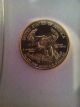 2010 $5 American Gold Eagle 1/10oz Gem Bu Coin Gold photo 1