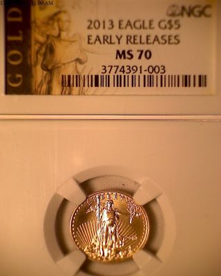 2013 Eagle G$5 First Release Ngc Ms 70 Perfect Coin photo