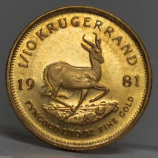1981 Krugerrand South Africa 1/10th Oz Gold Bu 01213158b photo