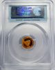 2012 First Strike Pcgs Ms 70 Gold China Panda 20 Yuan 20y 1/20 Oz.  Bullion Coin Gold photo 1