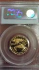 1993 P $10 Gold 1/4 Oz American Eagle Coin Proof Pcgs Pr69 Dcam Deep Cameo A2 Gold photo 3