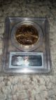 2014 $50 Gold American Eagle Bullion Coin 1 Oz Pcgs Ms 70 First Strike Gold photo 1