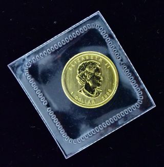 2006 Canada.  9999 Gold Maple 1/20th Ounce $1 Dollar Coin photo