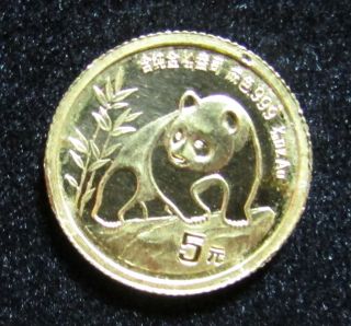 1990 Small Date Gold China Panda 1/20 Troy Oz.  5 Yuan Coin W/ Airtite Case photo