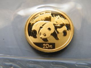 2008 Gold Chinese 1/20 Oz Panda Coin -.  999 Fine Gold - In Plastic - photo