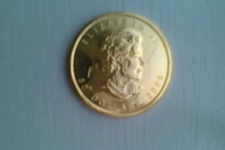 2009 Canadian Maple Leaf Gold Coin 1 Oz.  9999 photo