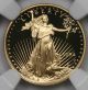 1994 - W Gold Eagle $5 Tenth - Ounce Pf 69 Ultra Cameo Ngc 1/10 Oz.  Fine Gold Gold photo 2