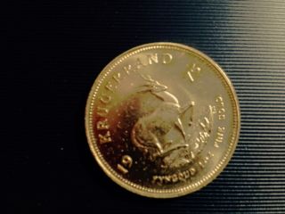 1975 South African Gold Krugerrand 1 Ounce Gold Uncirculated Fine Gold photo